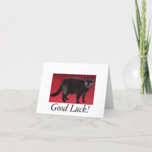 Carte Good Luck cat