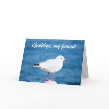 Goodbye Gull Sayonara