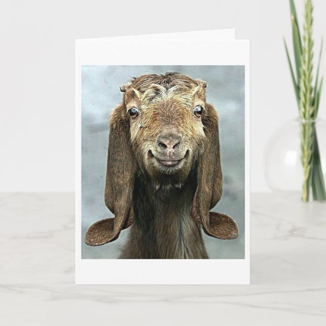CARTE GOOFY GOAT **C'EST TON ANNIVERSAIRE ! ! ! !** (Devant)