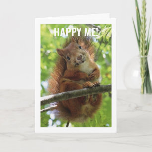 Carte GOOFY SQUIRREL DIT HEUREUX 40ème ANNIVERSAIRE ! Ca