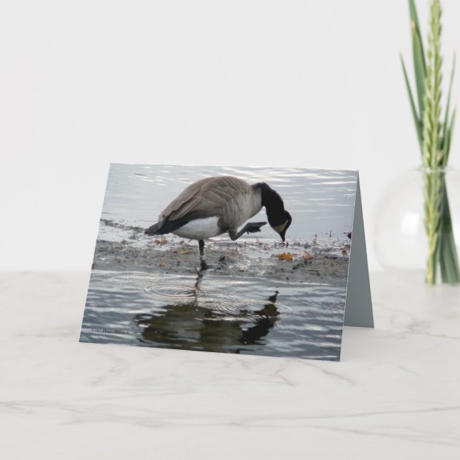 Carte Goose canadien 1975 (Devant)