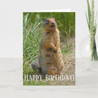 Carte Gopher criard drôle