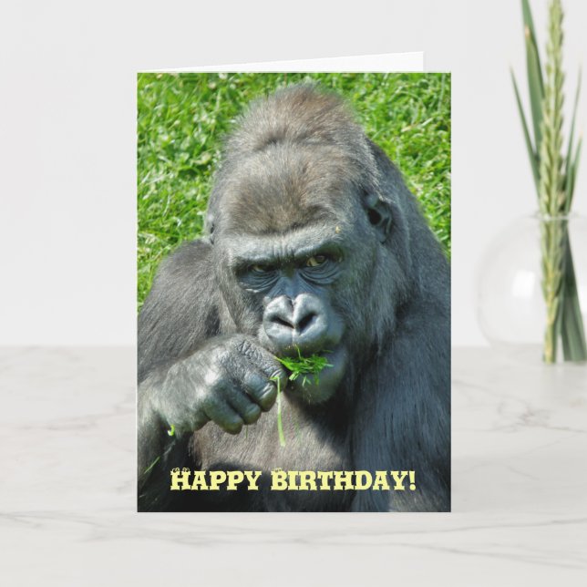 CARTE GORILLAS (Devant)