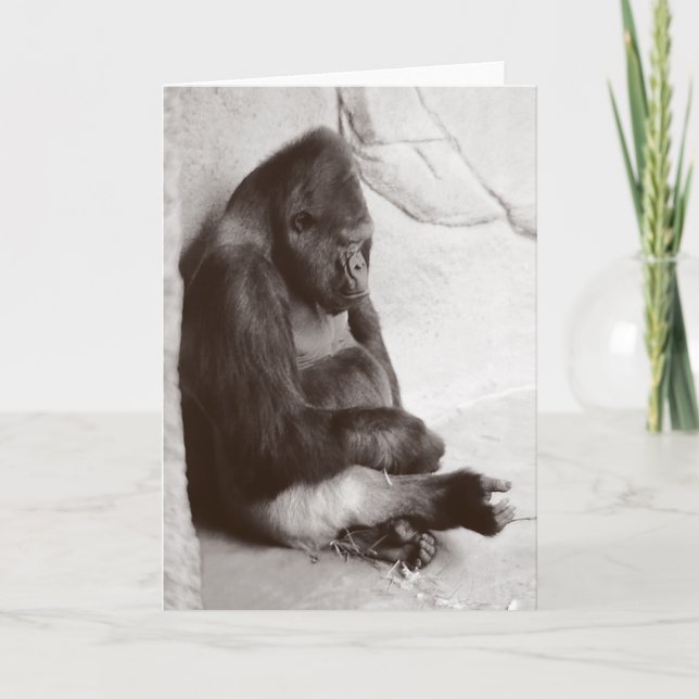 Carte Gorille endormie photo (Devant)