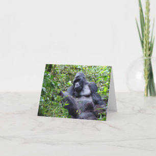 Carte Gorilles - Rwanda