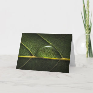 Carte Gouttelettes de feuille