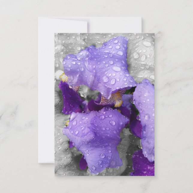 Carte gouttes d'eau sur iris (Devant)