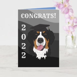 Carte Graduation Bernese Mountain Dog