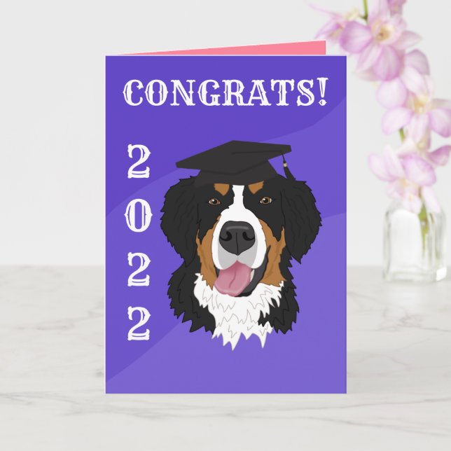 Carte Graduation Bernese Mountain Dog (Orchidée)