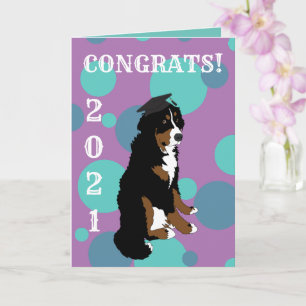 Carte Graduation Bernese Mountain Dog