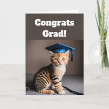 Graduation en chats mignons