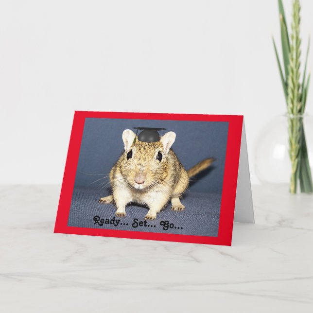 Carte Graduation Gerbil (Devant)