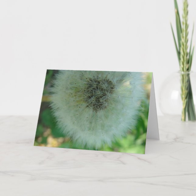 Carte Graines de Dandelion (Devant)
