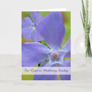 Carte Gran Mothering Dimanche avec Vinca Vine Flower