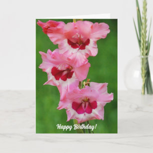 Carte Grand Beau Gladiolus Fleurs roses Anniversaire