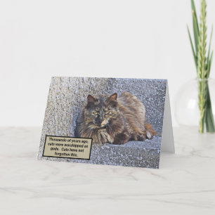 CARTE GRAND CHAT FLUFFÉ, REGARDE SUPÉRIEURE/CITE CAT