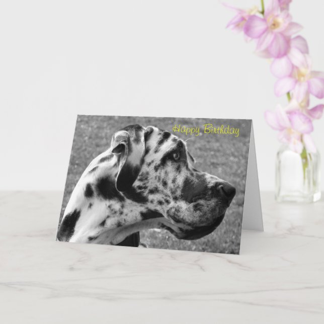 CARTE GRAND DANE (Orchidée)
