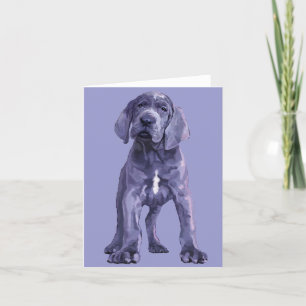 Carte Grand Dane "Big Baby" Chiot