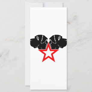 Carte Grand Danois Tête d'étoile