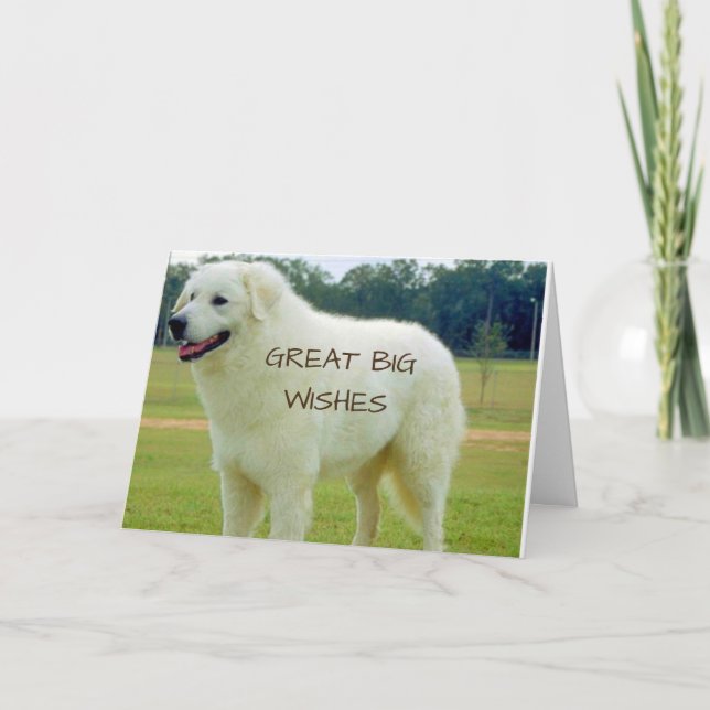 CARTE GRAND "GRAND SOUHAIT" POUR VOUS À L'ANNIVERSAIRE (Devant)