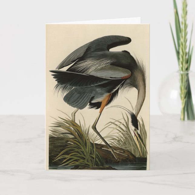 Carte Grand héron bleu des oiseaux d'Amérique d'Audubon (Devant)