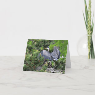 Carte Grand Héron Bleu et ses Bébés !