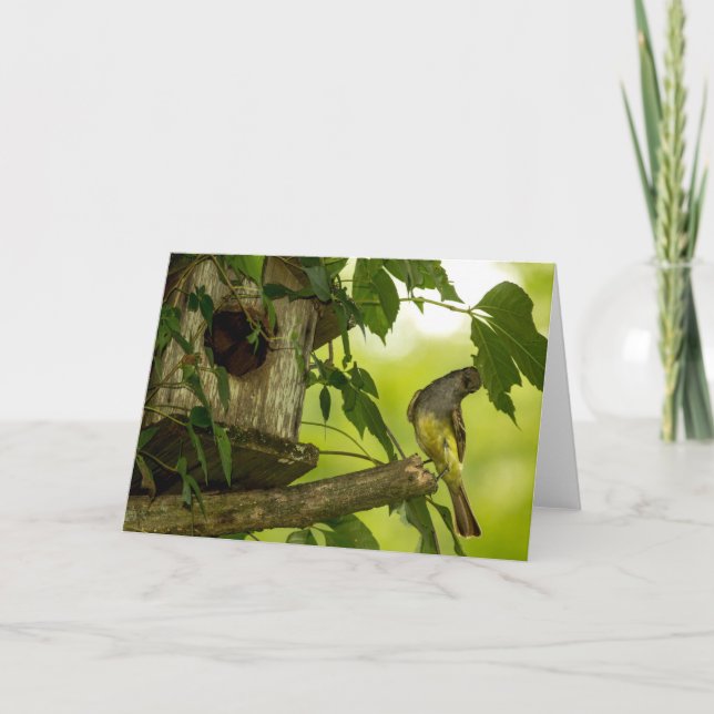 Carte Grand Moucherolle (Devant)