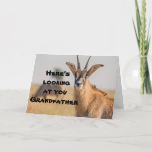 CARTE "GRAND-PÈRE" QUI CHASSE - FÊTE DES PÈRES AMUSANTE