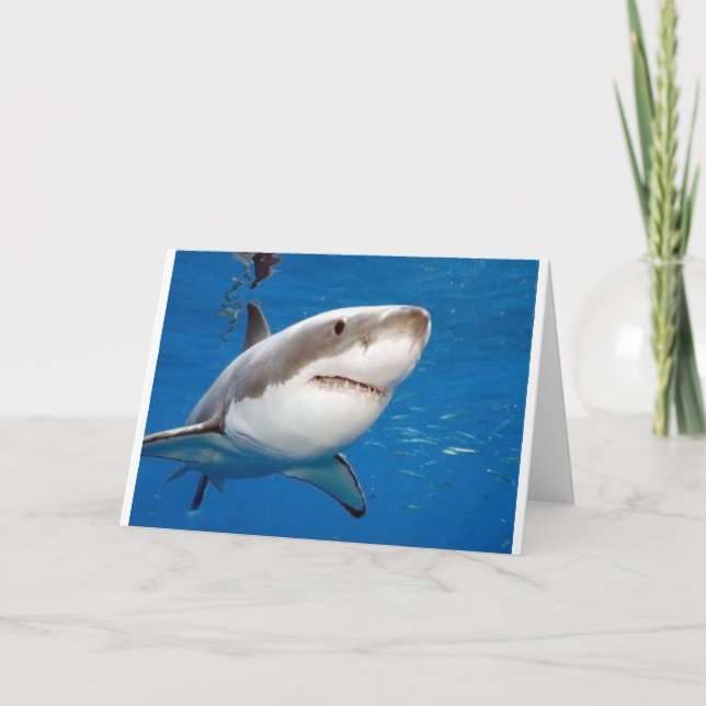 Carte Grand requin blanc (Devant)