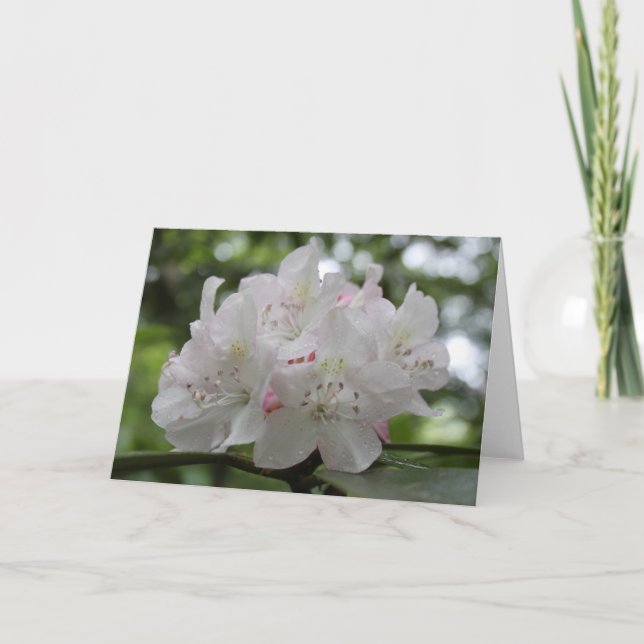 Carte Grand rhododendron (Devant)