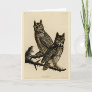 Carte Grande Chouette à la corne des oiseaux d'Amérique 