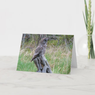 Carte Grande Chouette grise dans la nature