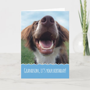 Carte Grandson Birthday, Happy Dog with Big Smile