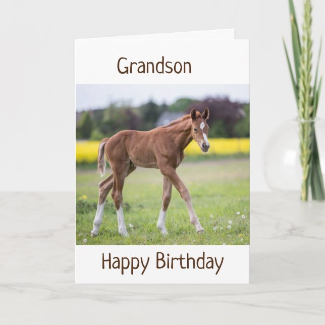 CARTE *GRANDSON* VOTRE ANNIVERSAIRE EST UN JOUR PARTICUL (Devant)