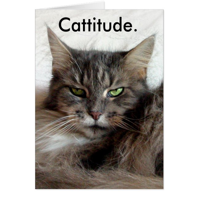 Carte graphique (Devant)