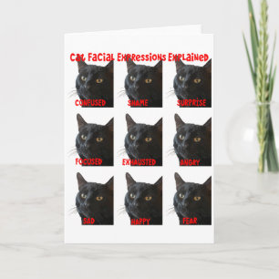 Carte Graphique des expressions faciales de chat expliqu