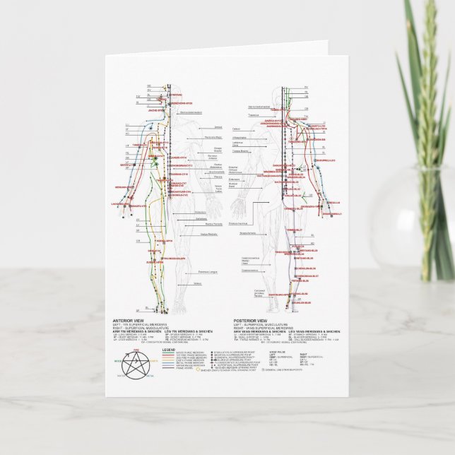 Carte Graphique des méridiens humains (Devant)