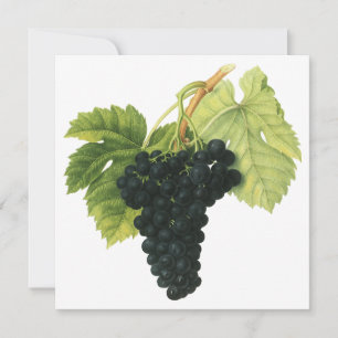 Carte Grappe de raisin rouge de vin biologique vintage, 