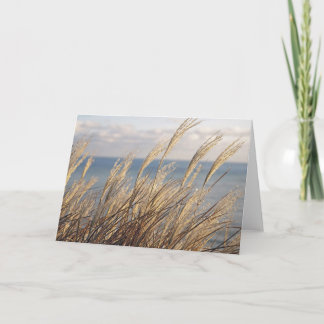 Carte Grasses