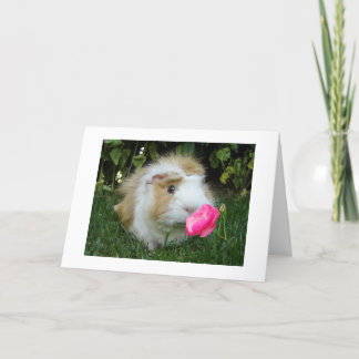 CARTE GRATEFUL GERBIL HEUREUX C'EST "VOTRE" ANNIVERSAIRE