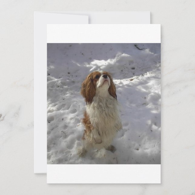 Carte gravier dans la neige (Devant)