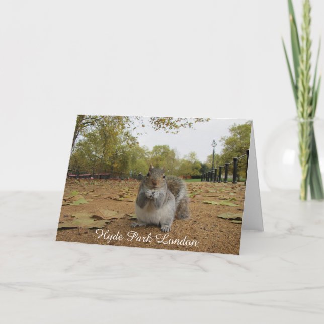Carte Gray Squirrel Hyde Park Londres. (Devant)