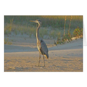 Carte Great Blue Heron