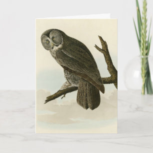 Carte Great Cinereous Owl from Audubon Birds of America