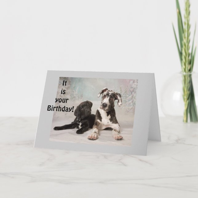CARTE GREAT DANE DIT "PROFITEZ DE VOTRE ANNIVERSAIRE" (Devant)