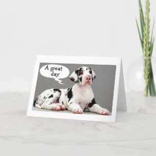CARTE GREAT DANE VOUS DIT "GREAT DAY" HEUREUX ANNIVERSAI