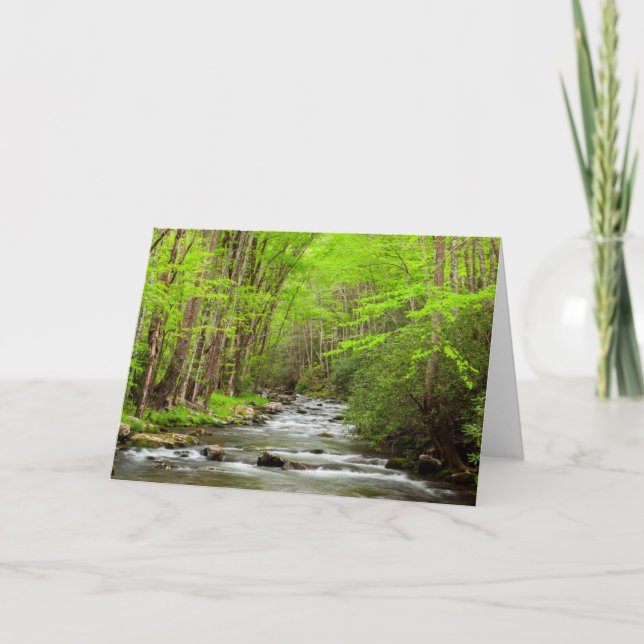 Carte Great Smoky Mountains National Park Caroline du No (Devant)