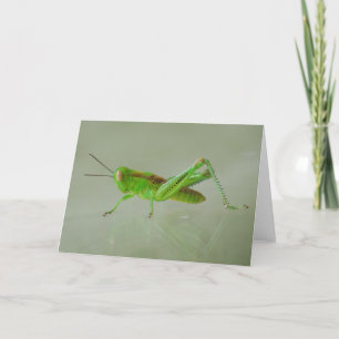 Carte Green Grasshopper