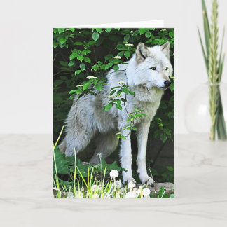 Carte Greeting Card