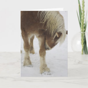 Carte Greeting Card